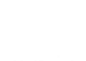 Logo Morbihan